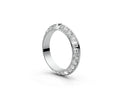 Knife Edge Full Eternity Band — Princess 0.05ct
