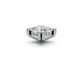 Princess 1ct Centre Setting with Hidden Halo