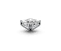 Asscher 6ct Centre Setting with Hidden Halo