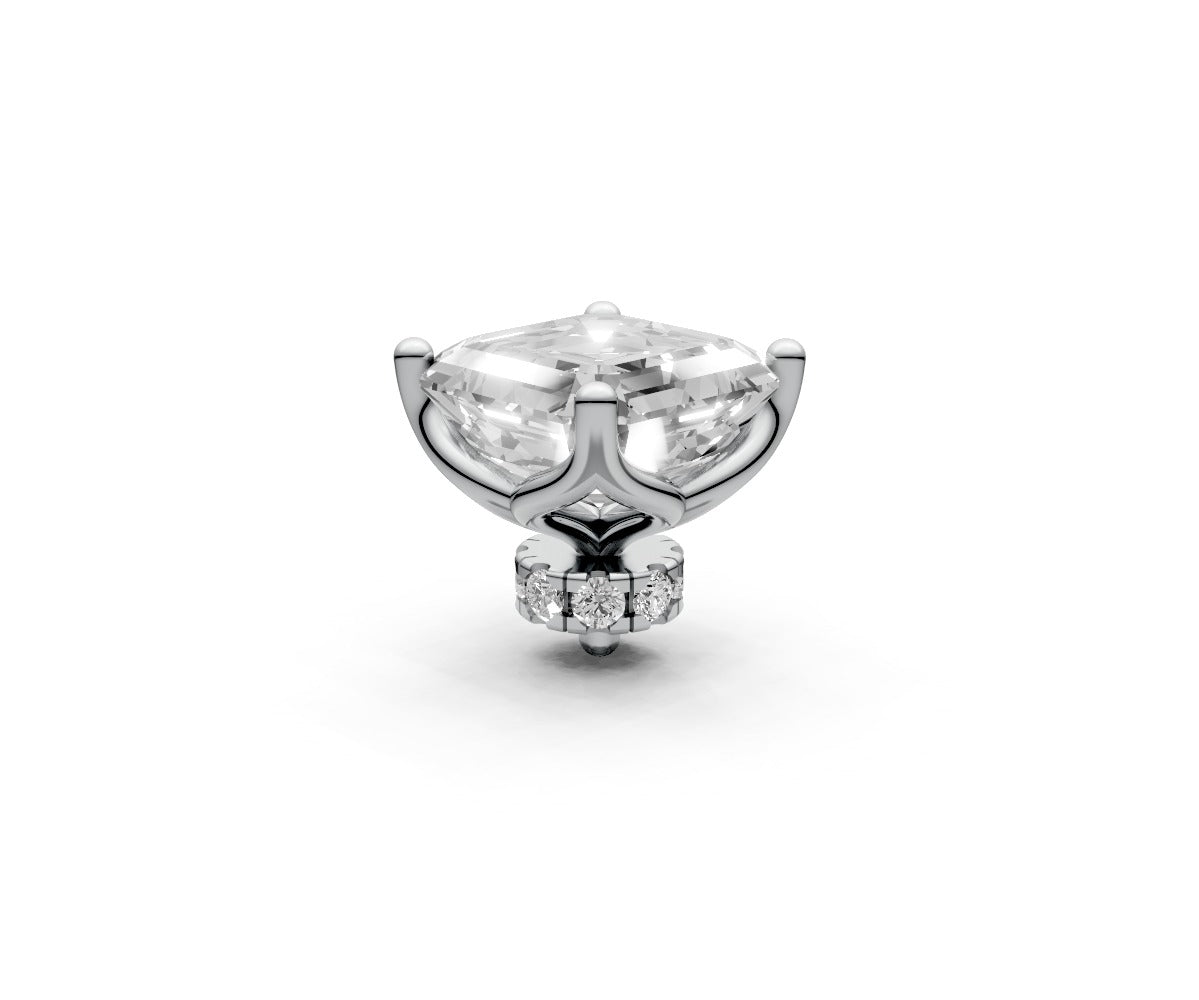 Asscher 1ct Centre Setting with Hidden Halo